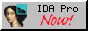 hex rays' ida pro 88x31 button